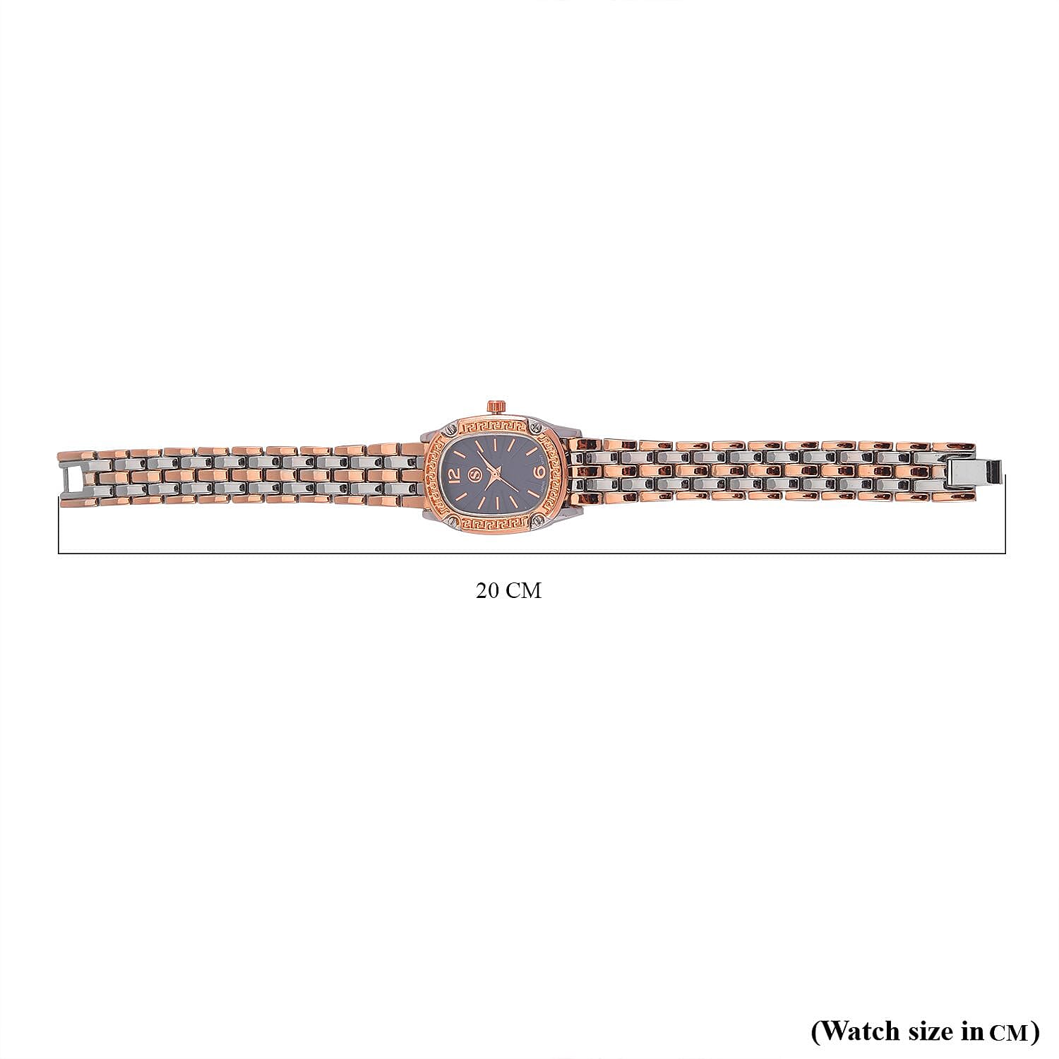 Strada Japanese Movement Blue Dial Water Resistant Watch in Two Tone