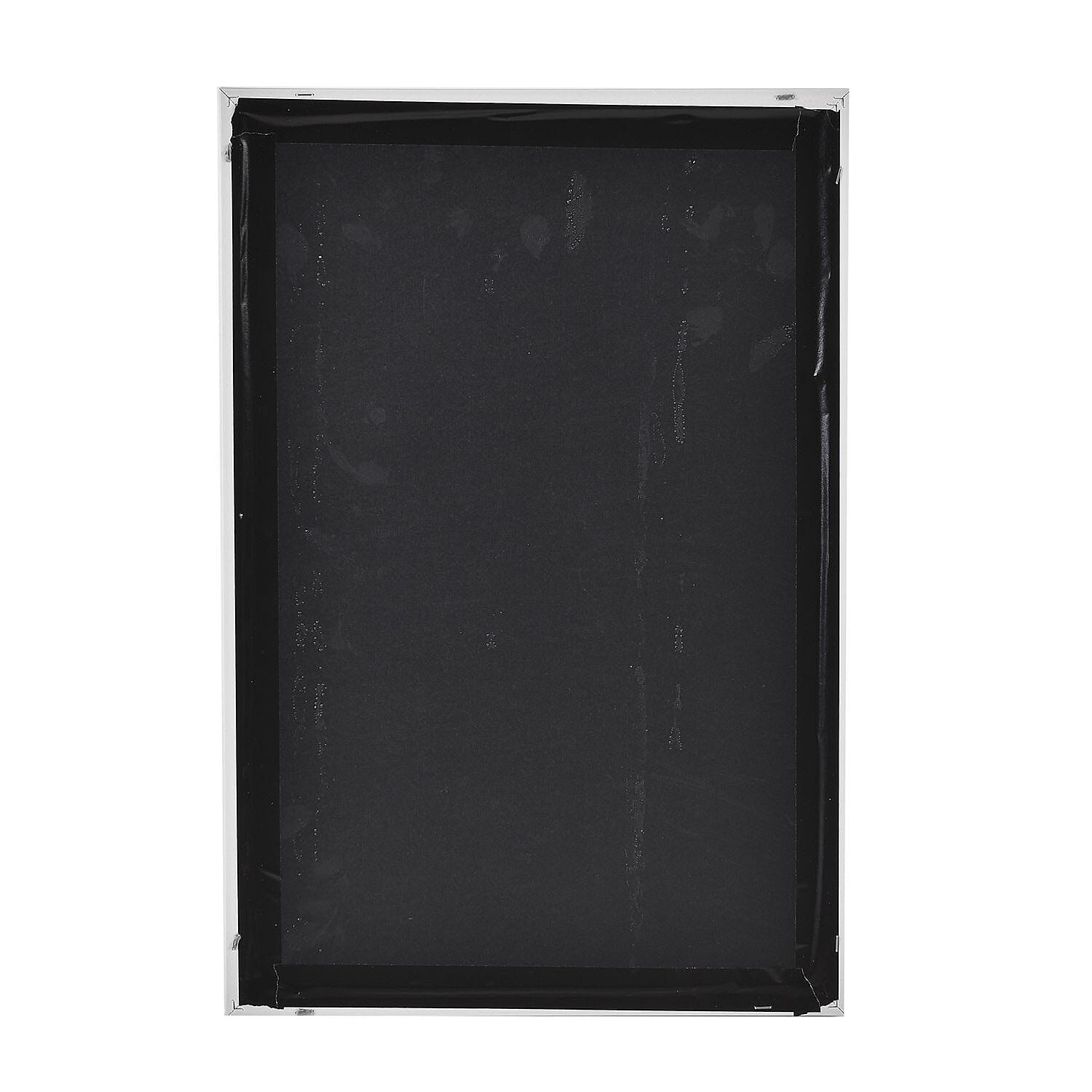 Feather Crystal Wall Painting With Frame (Size 60x40cm)