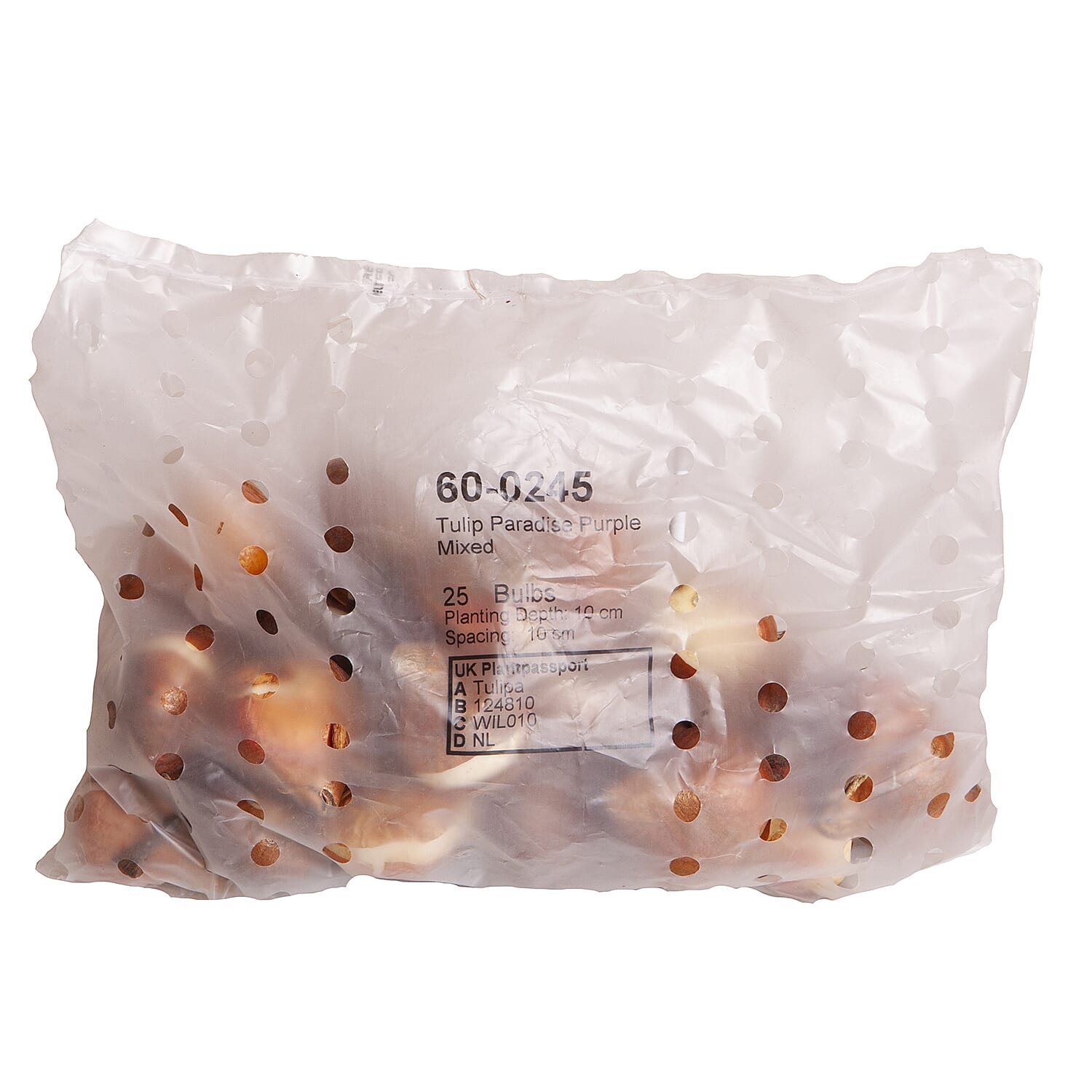 Tulip Paradise Purple Collection 50 Bulbs - Apr - May Flower - Hardy - 50cm Height