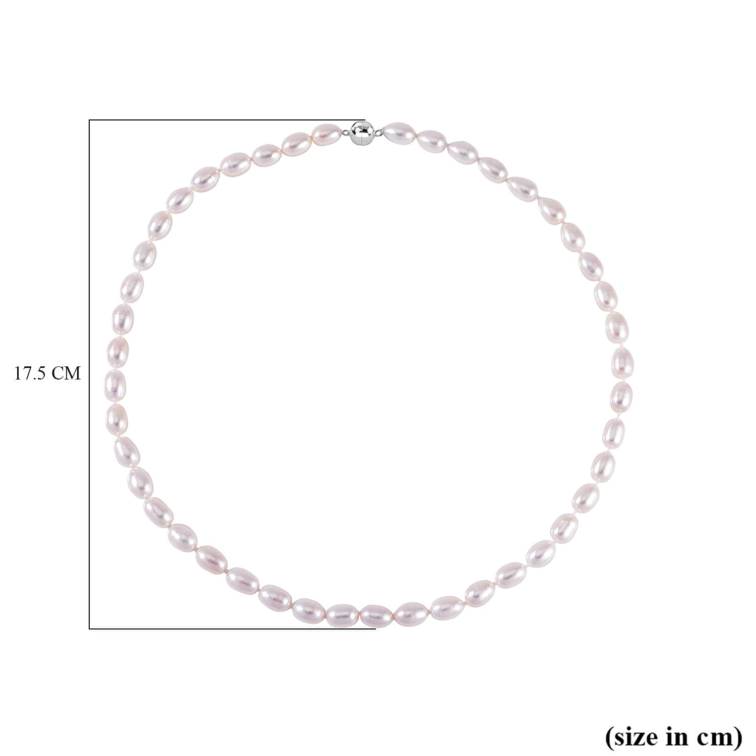 White Fresh Water Pearl Necklace (Size - 20) in Rhodium Overlay Sterling Silver with Magnetic Lock