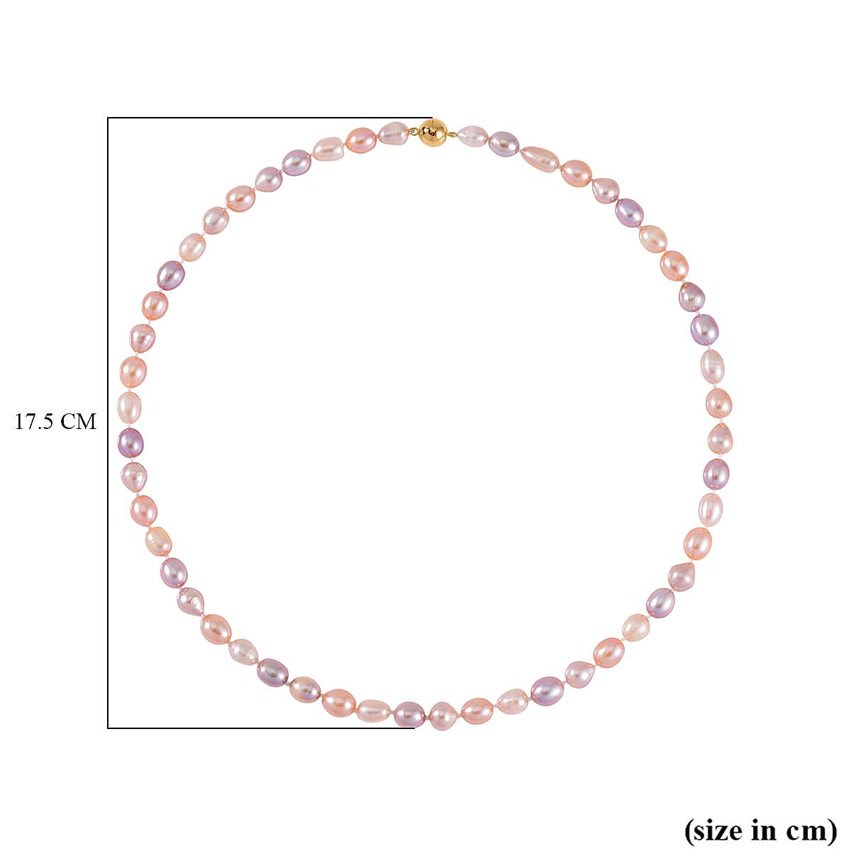 Multi Colour Fresh Water Pearl Necklace (Size - 20) in Yellow Gold Overlay Sterling Silver with Magnetic Lock