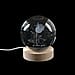Laser Etched Dolphin Crystal Ball with Wood Base - Color Changing LED Lights