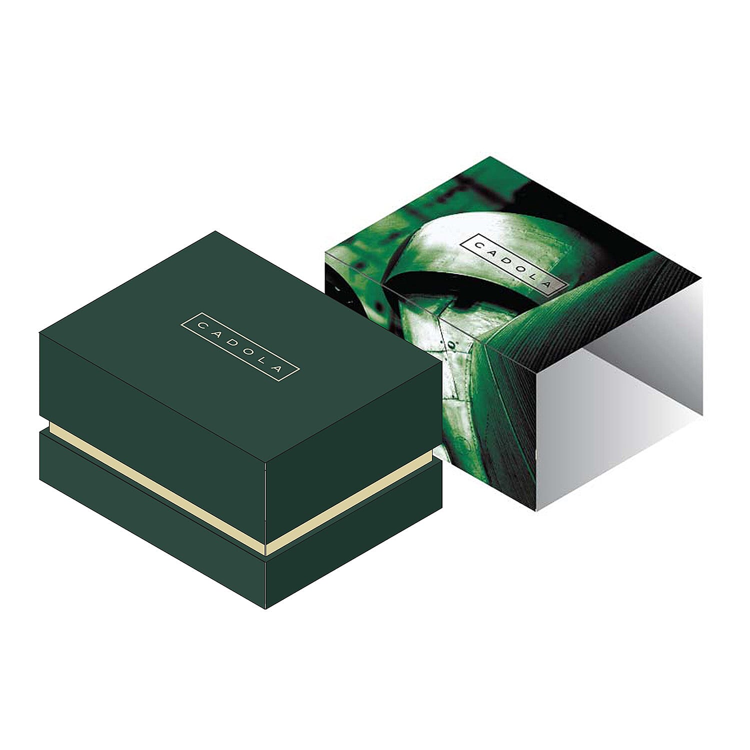 CADOLA  Aviateur Japanese Automatic Movement with 3 Hands Date 10ATM Water Resistant Mens Watch with Genuine Leather Green Strap