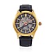 William Hunt Automatic Mechanical Movement Grey Sunshine Dial 5 ATM Water Resistant Watch with Black Leather Strap