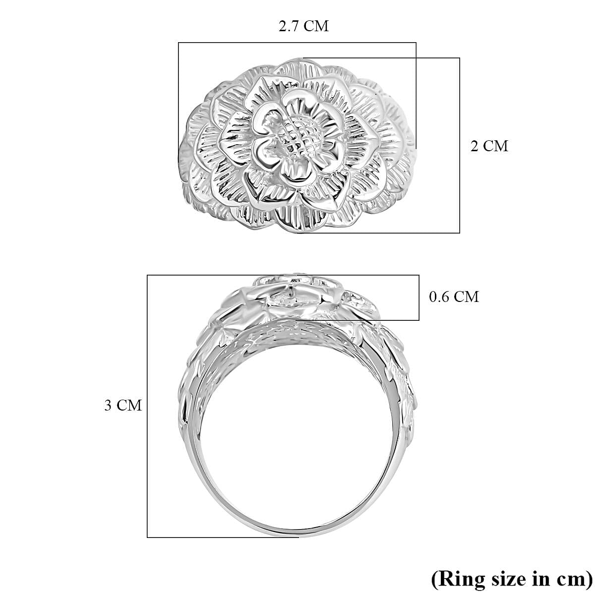 Sterling Silver Ring,  Silver Wt. 6.5 Gms