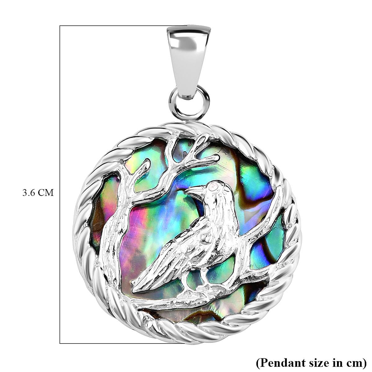 Abalone Shell Pendant  Sterling Silver 9.00 ct, Silver Wt. 7 Gms