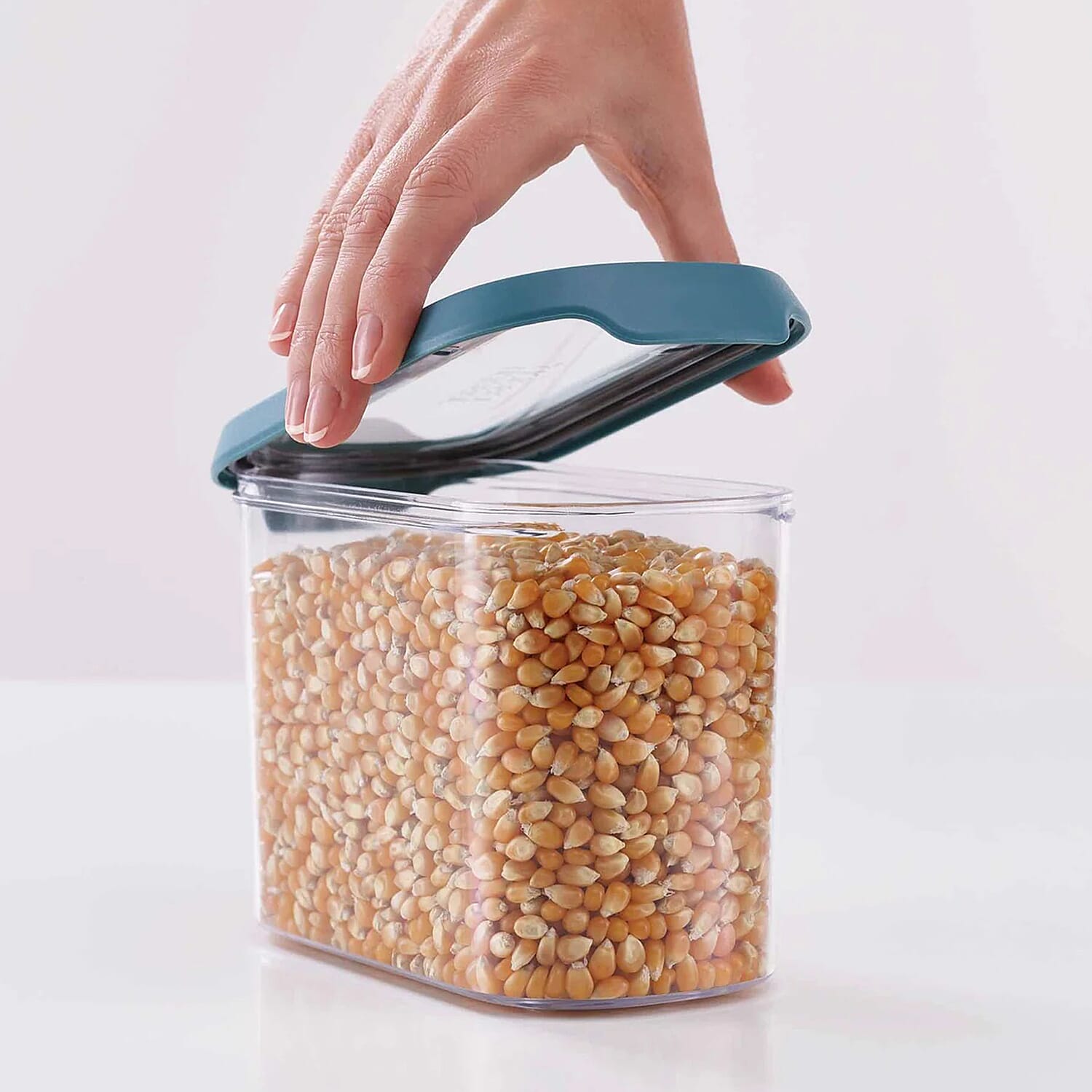 CupboardStore 3 x 1.3 litre Food Storage Set - Dark Opal (Size 19x33x14 cm) - Clear