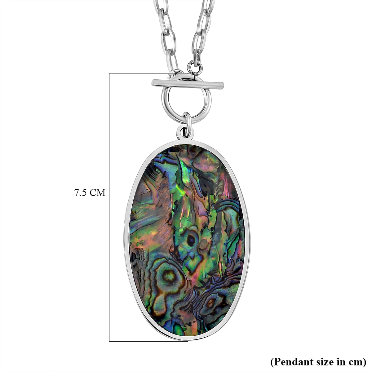 Close Out Deal - Oval Shape Abalone Shell Necklace (Size - 24) with T-Bar Clasp