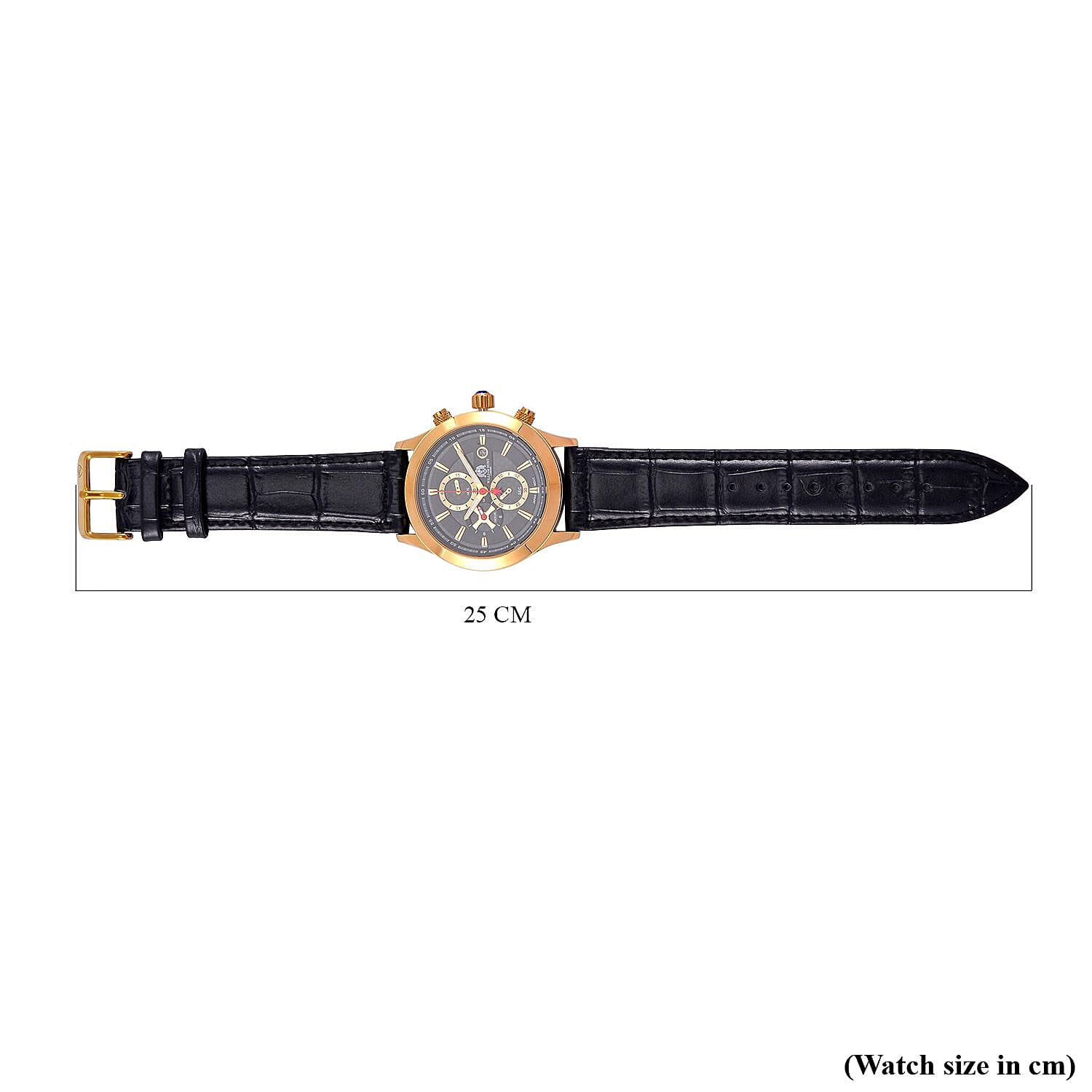 William Hunt Multifunction Japanese Movement 5 ATM Water Resistant Watch with Black Leather Strap in Yellow Gold Tone