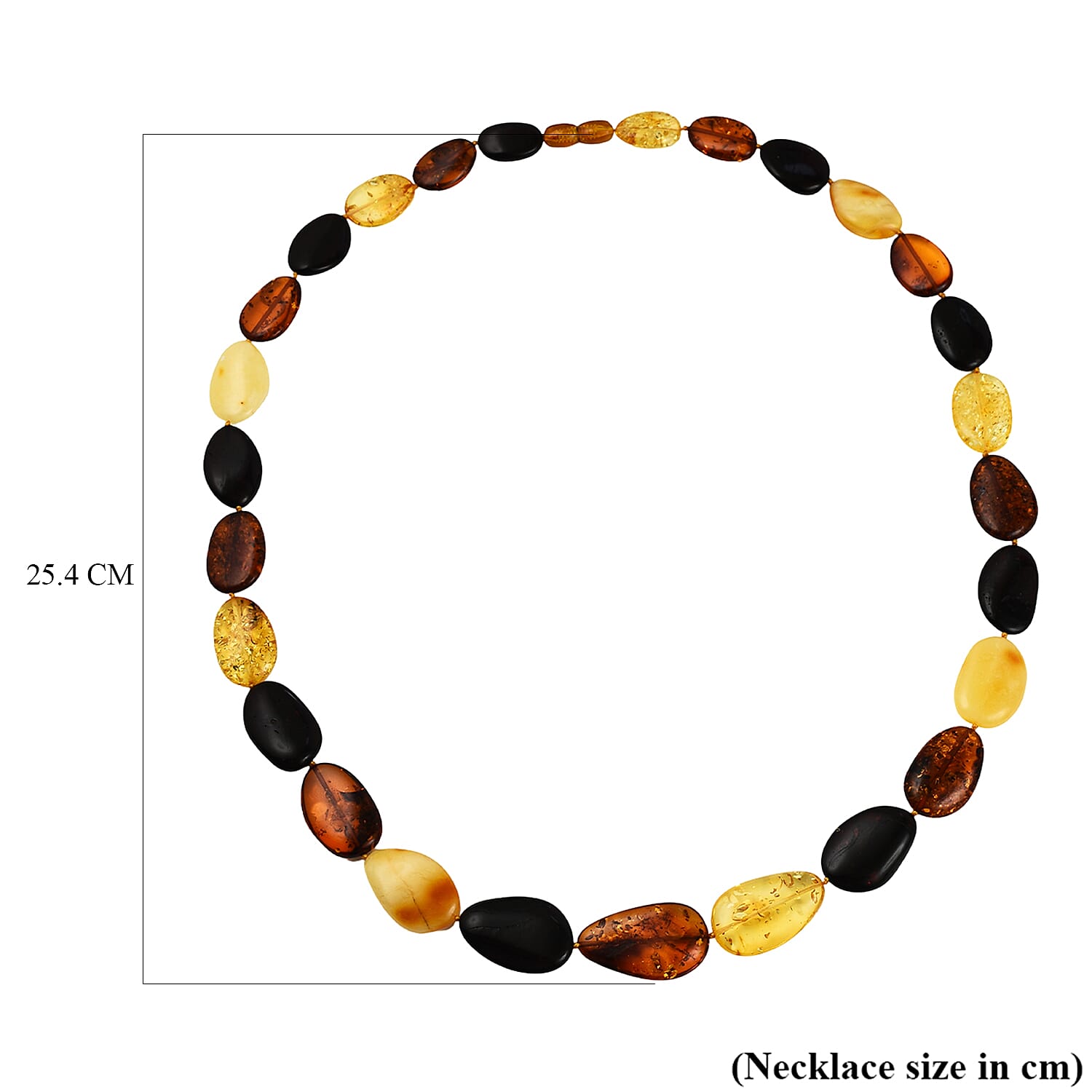 Tucson Special - Natural Multi Colour Baltic Amber Coin Link Necklace (Size 28) in Sterling Silver