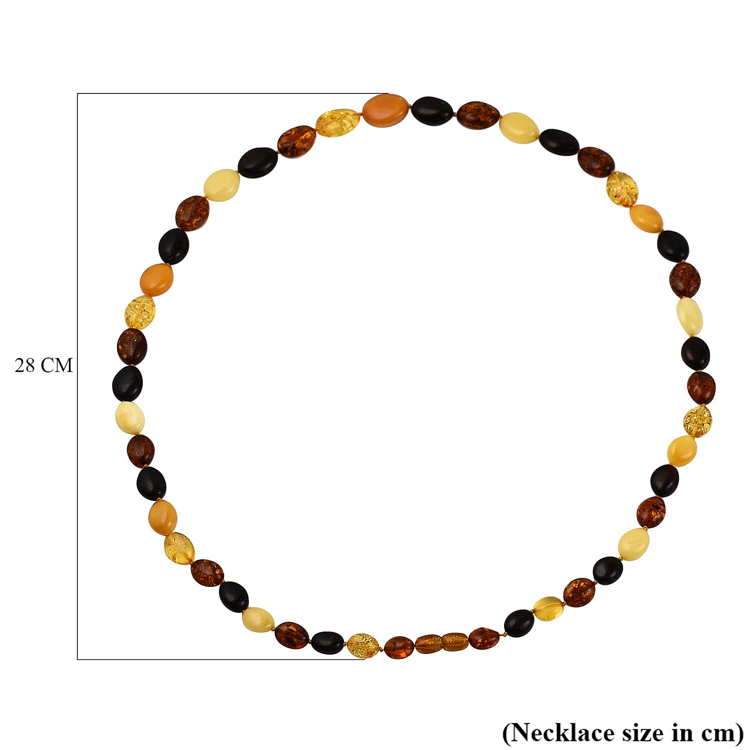 Tucson Special - Natural Multi Colour Baltic Amber Oval Link Necklace (Size 30) in Sterling Silver