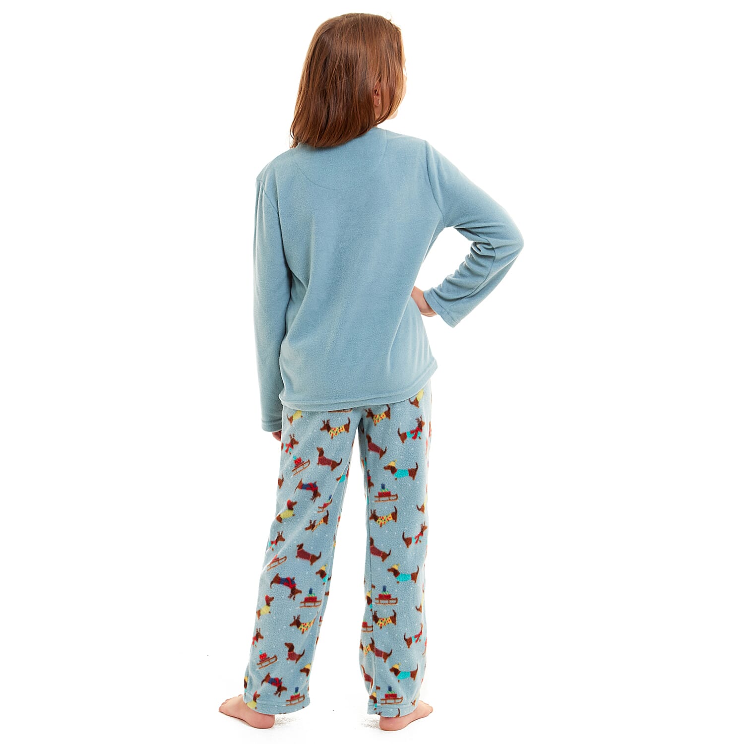 Childrens Dachshund Micro Fleece Pyjamas with Applique Top & Printed Trouser (Size 3-4) - Blue