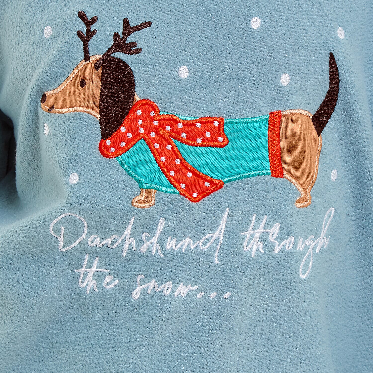 Childrens Dachshund Micro Fleece Pyjamas with Applique Top & Printed Trouser (Size 3-4) - Blue