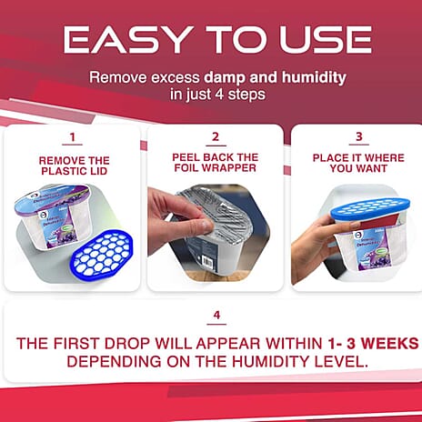 THE SEASONS ESSENTIALS - BIG SET OF 24 - Scented Interior Dehumidifiers (500 ml each)