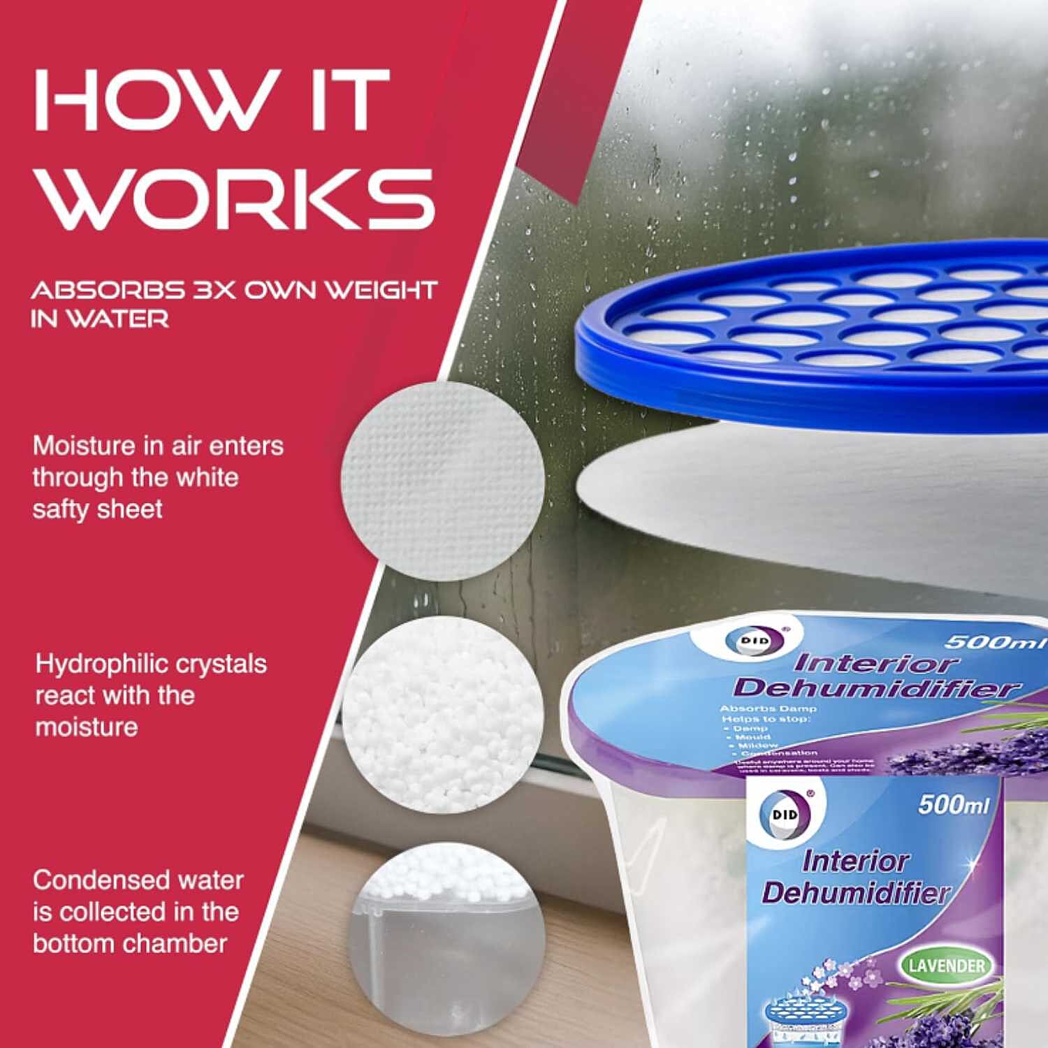 THE SEASONS ESSENTIALS - BIG SET OF 24 - Scented Interior Dehumidifiers (500 ml each)