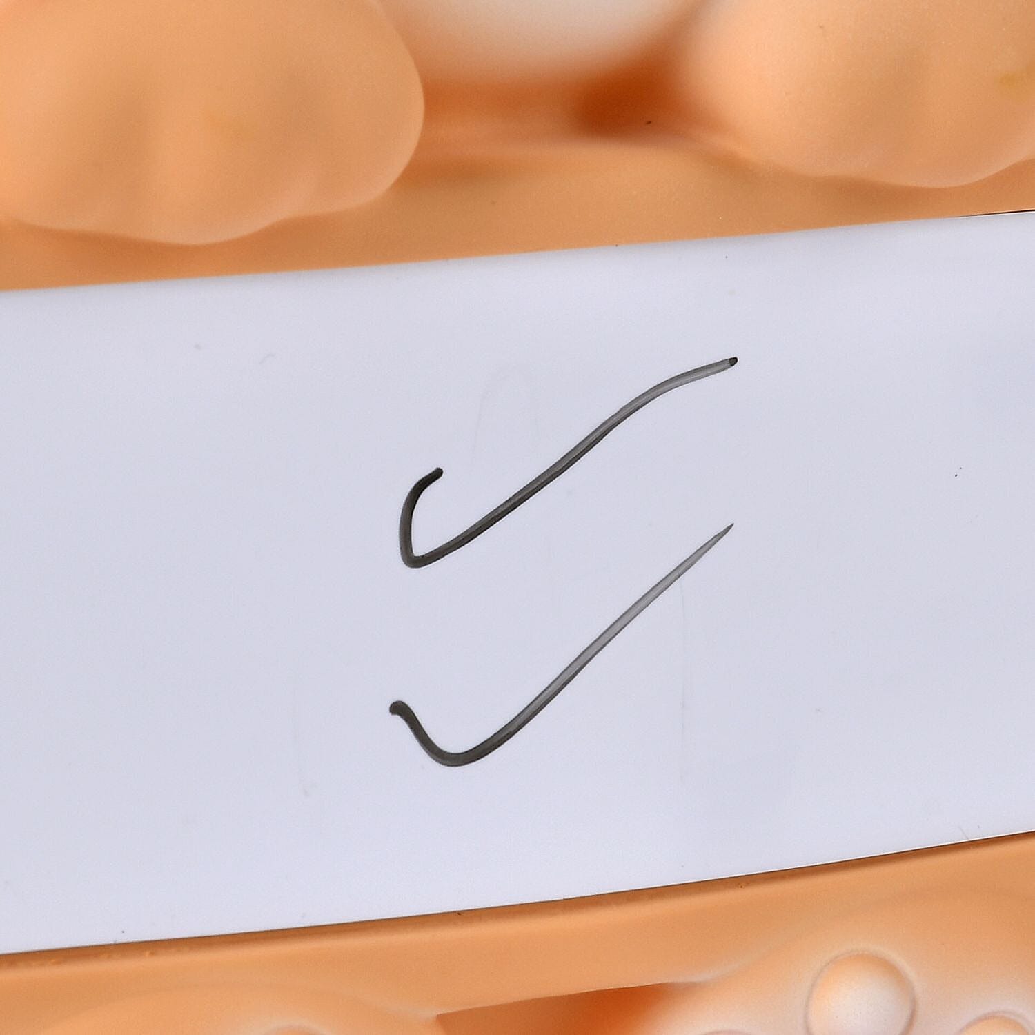 Money Bank Dog Holding a Whiteboard