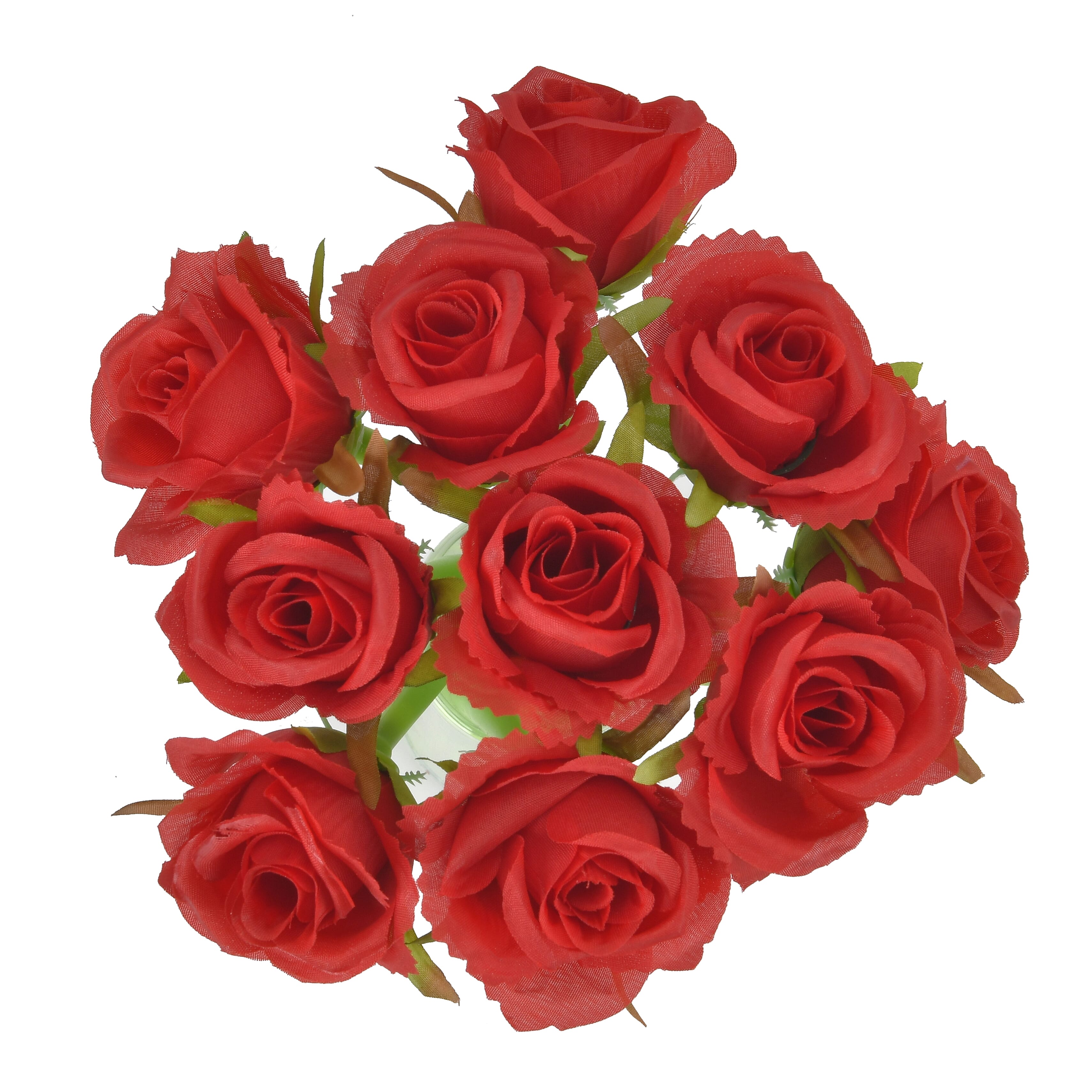 Pen and Pencil (Size 24x1x1 cm) - Multi Color