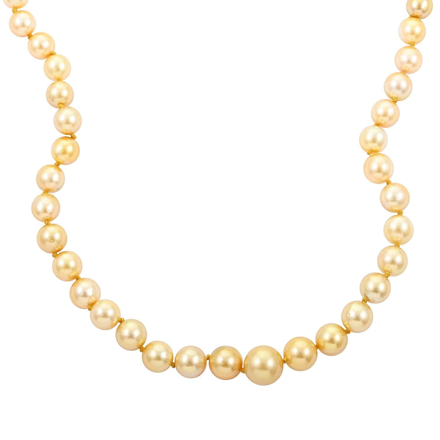 18K Yellow Gold AGI Certified AAAA Golden South Sea Pearl  Necklace (Size 18) 300.00 Ct.