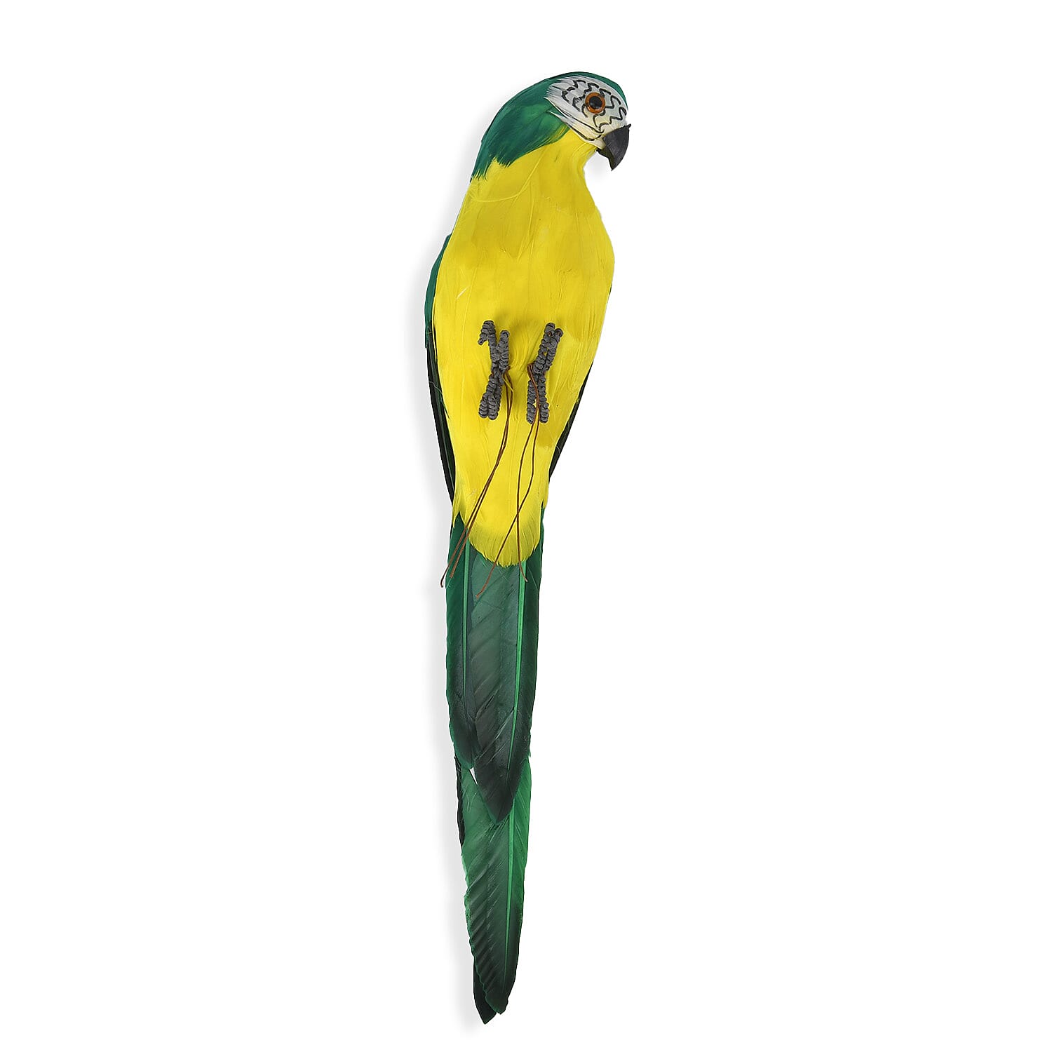 Realistic Parrot Figurine (Size 35cm) - Green