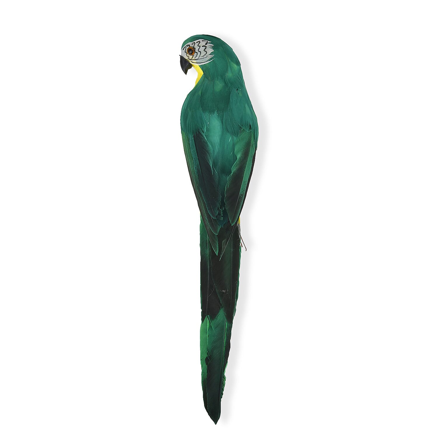 Realistic Parrot Figurine (Size 35cm) - Green