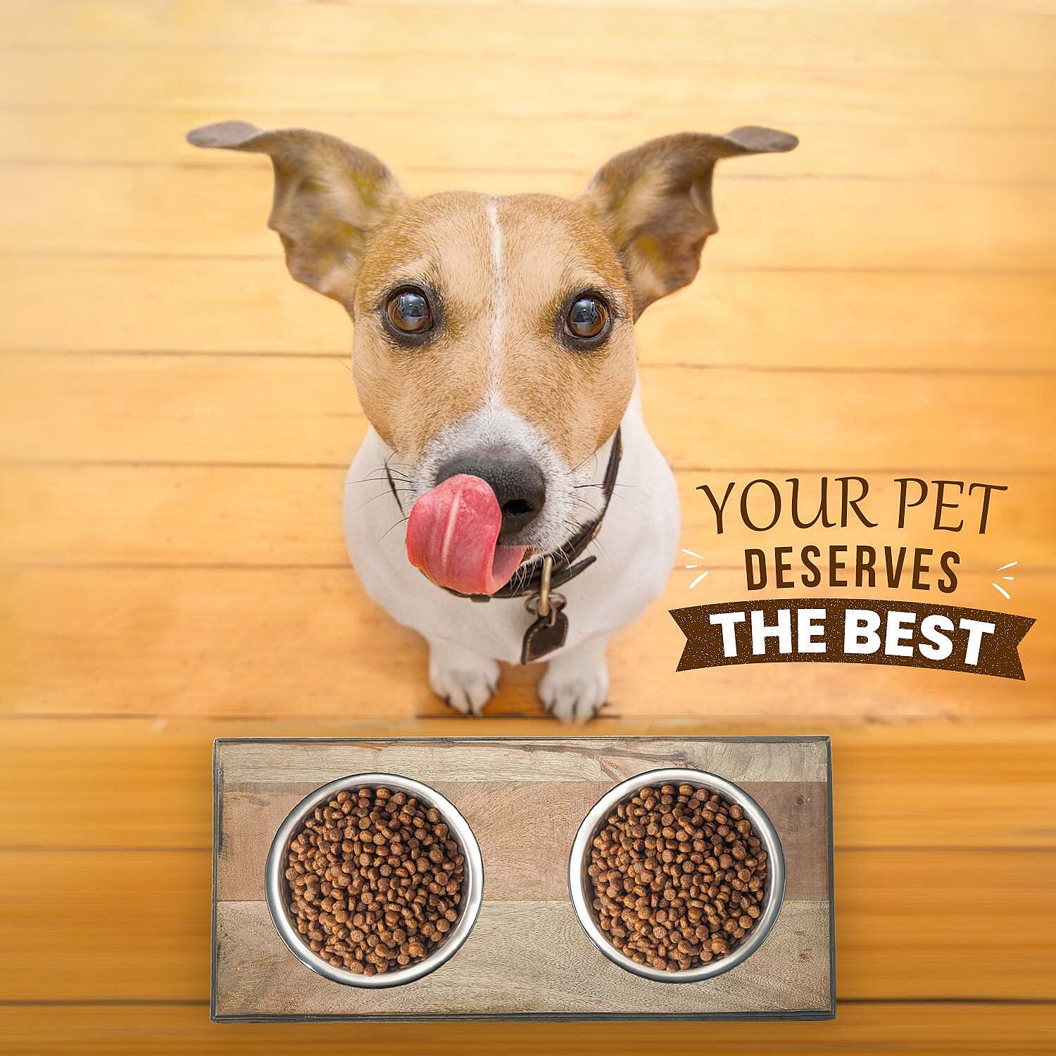 Nakkashi Pet Food and Supplies (Size 47x22x12 cm) - Brown & Natural