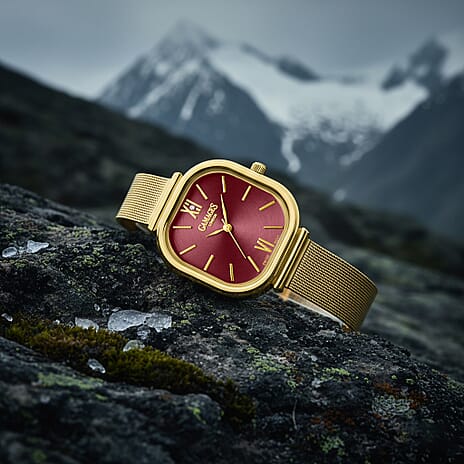 Gamages Of London TULIP Ladies Diamond Studded Swiss Movt. Wine Red Dial Water Resistant Watch with Silver Gold Bracelet