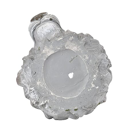 Lion Head Statue Pot - Grey