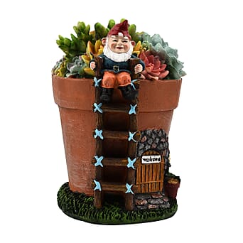 https://tjcuk.sirv.com/Products/76/9/7698778/Garden-Succulent-Gnome-House-Multi-Colour_7698778.jpg?w=342&h=342