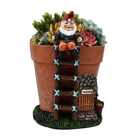 Garden Succulent Gnome House - Multi