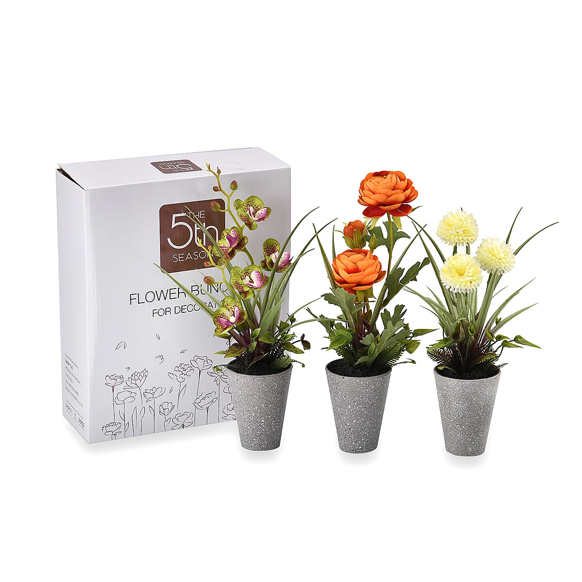 Set of 3 Potted Flower Plants - Cosmos Bipinnatus, Chrysanthemum