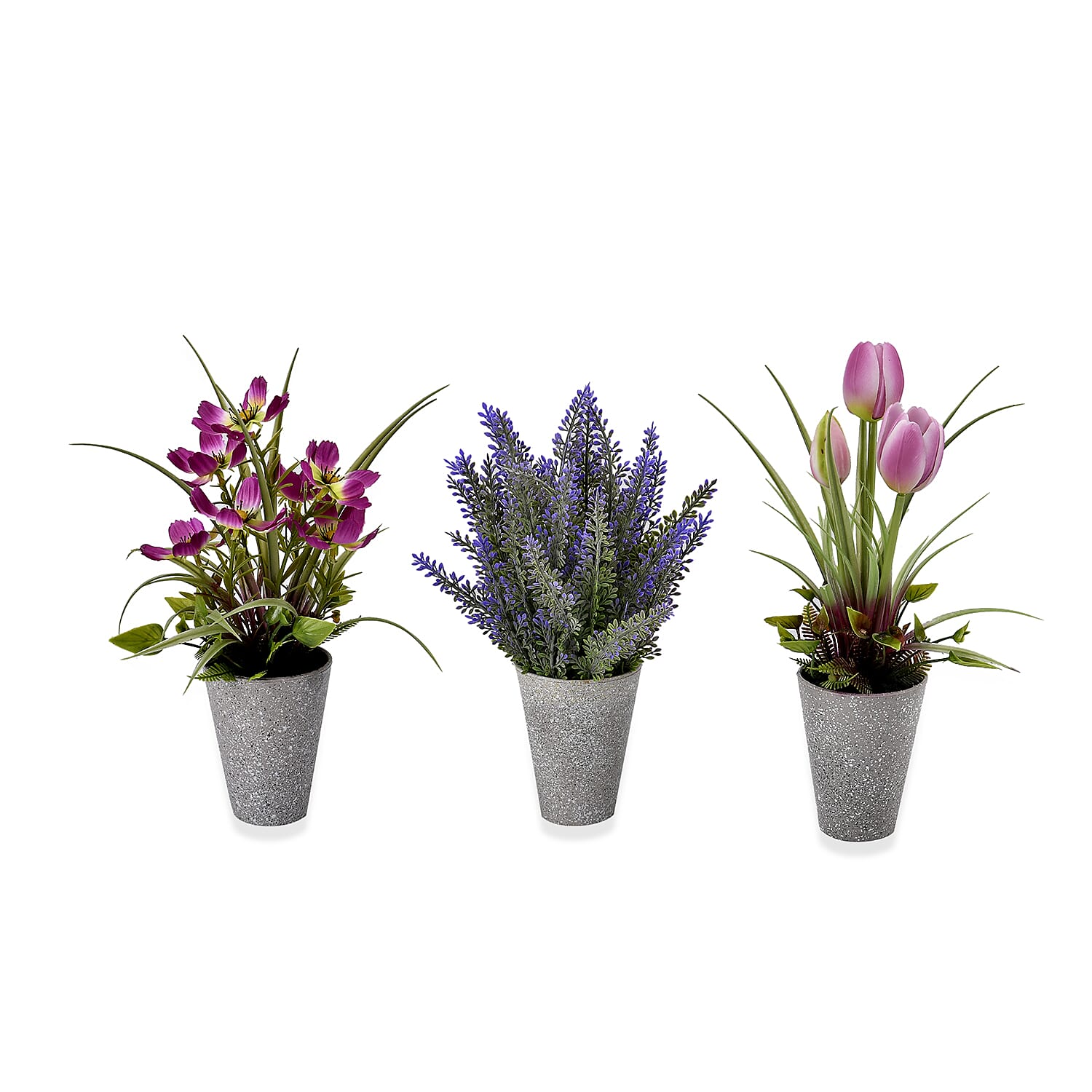 Set of 3 Potted Flower Plants - Carnation, White Rose and Orchids