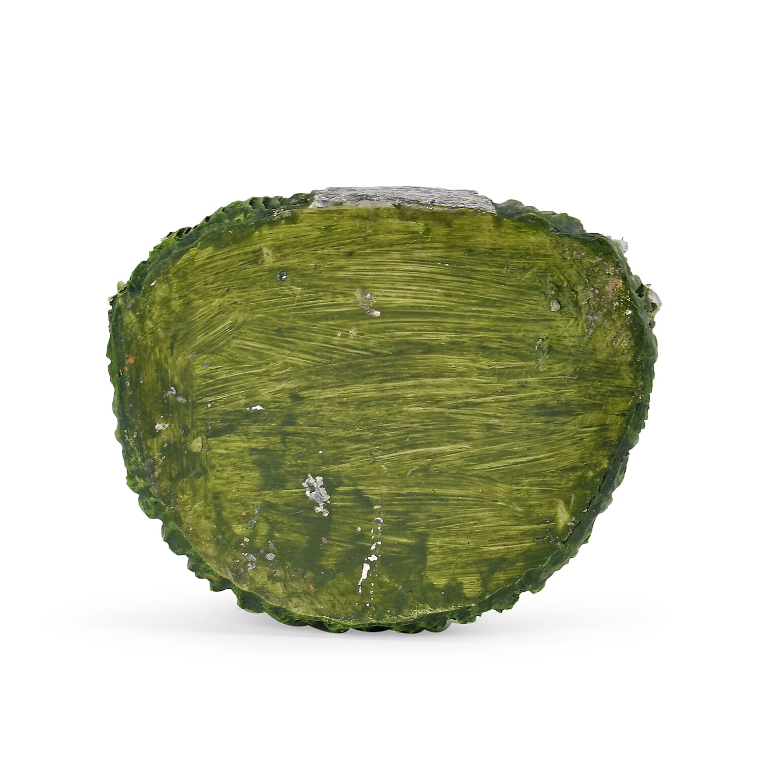 Funny & Cute Frog Decor - Green