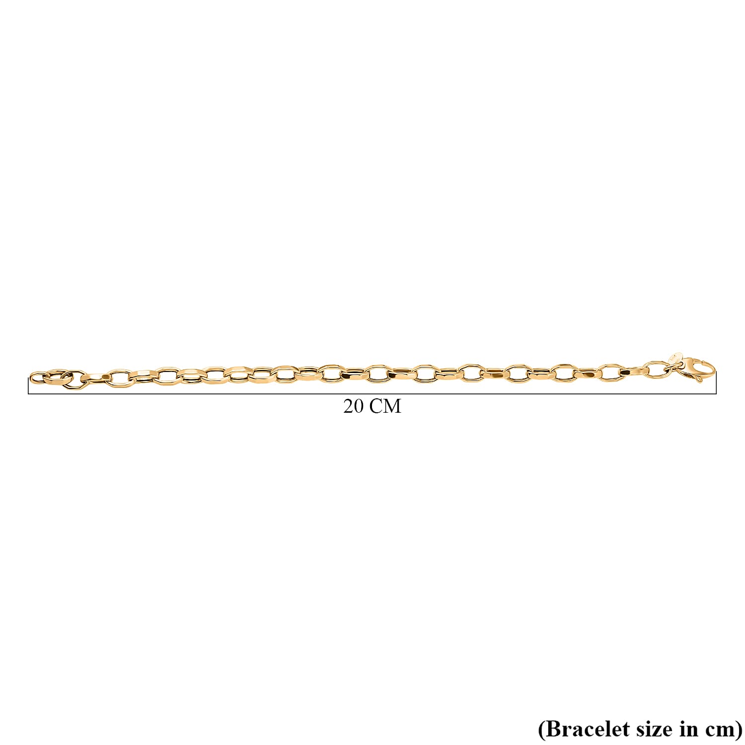 Maestro Collection - 9K Yellow Gold Rolo Bracelet (Size - 7.5).Gold wt 3.01 Gms