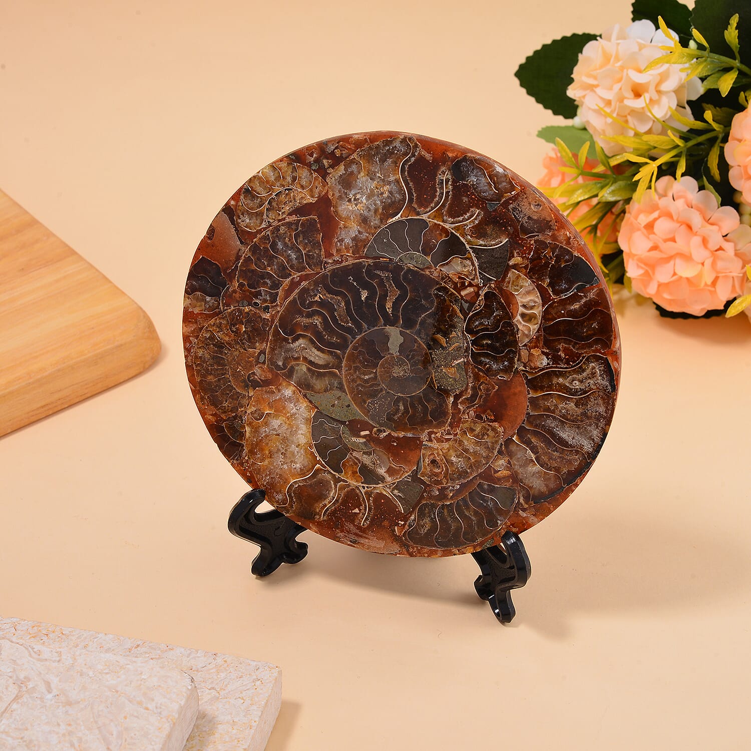 One of a Kind - Natural Ammonite Fossil Conch with Stand 945ct.