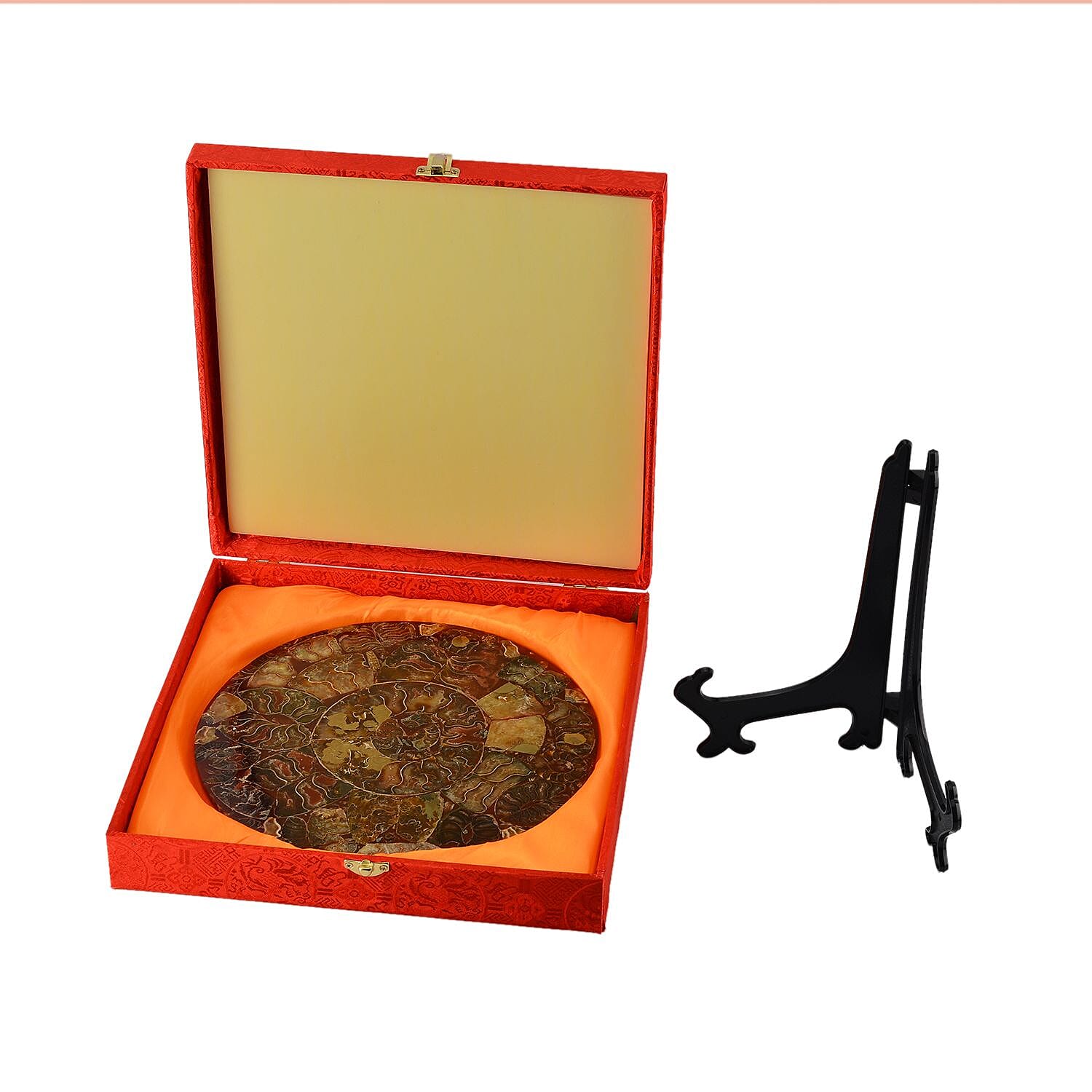 Limited - Natural Ammonite Fossil Home Decor With Stand and Presentation Box 4300 Ct