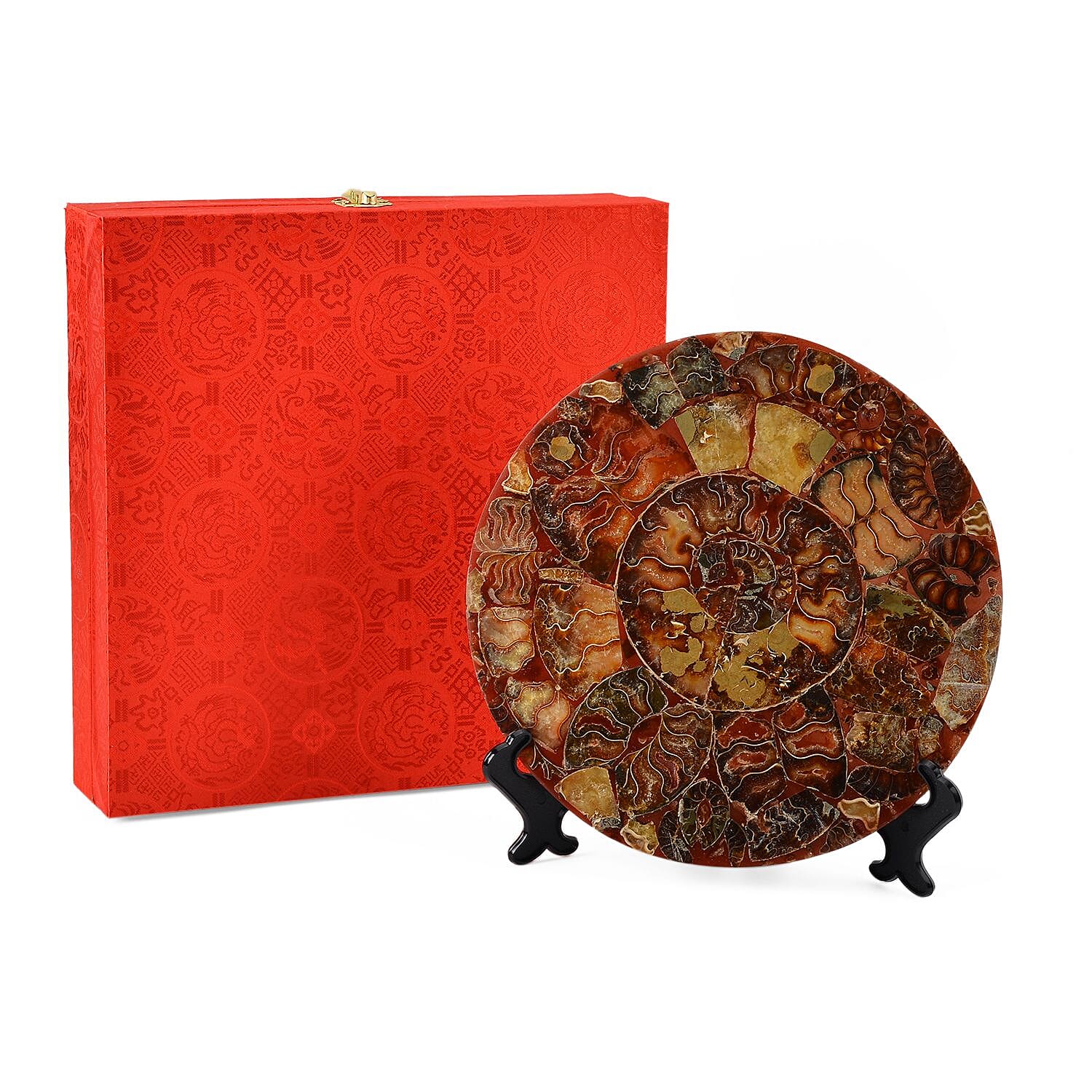 Limited - Natural Ammonite Fossil Home Decor With Stand and Presentation Box 4300 Ct