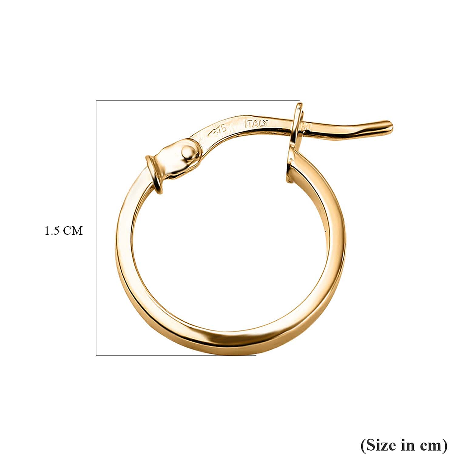 MAESTRO COLLECTION - 9K Yellow Gold Hoop Earrings with Clasp