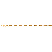 Vicenza Closeout - 9K Yellow Gold Paperclip Bracelet (Size - 7.5)