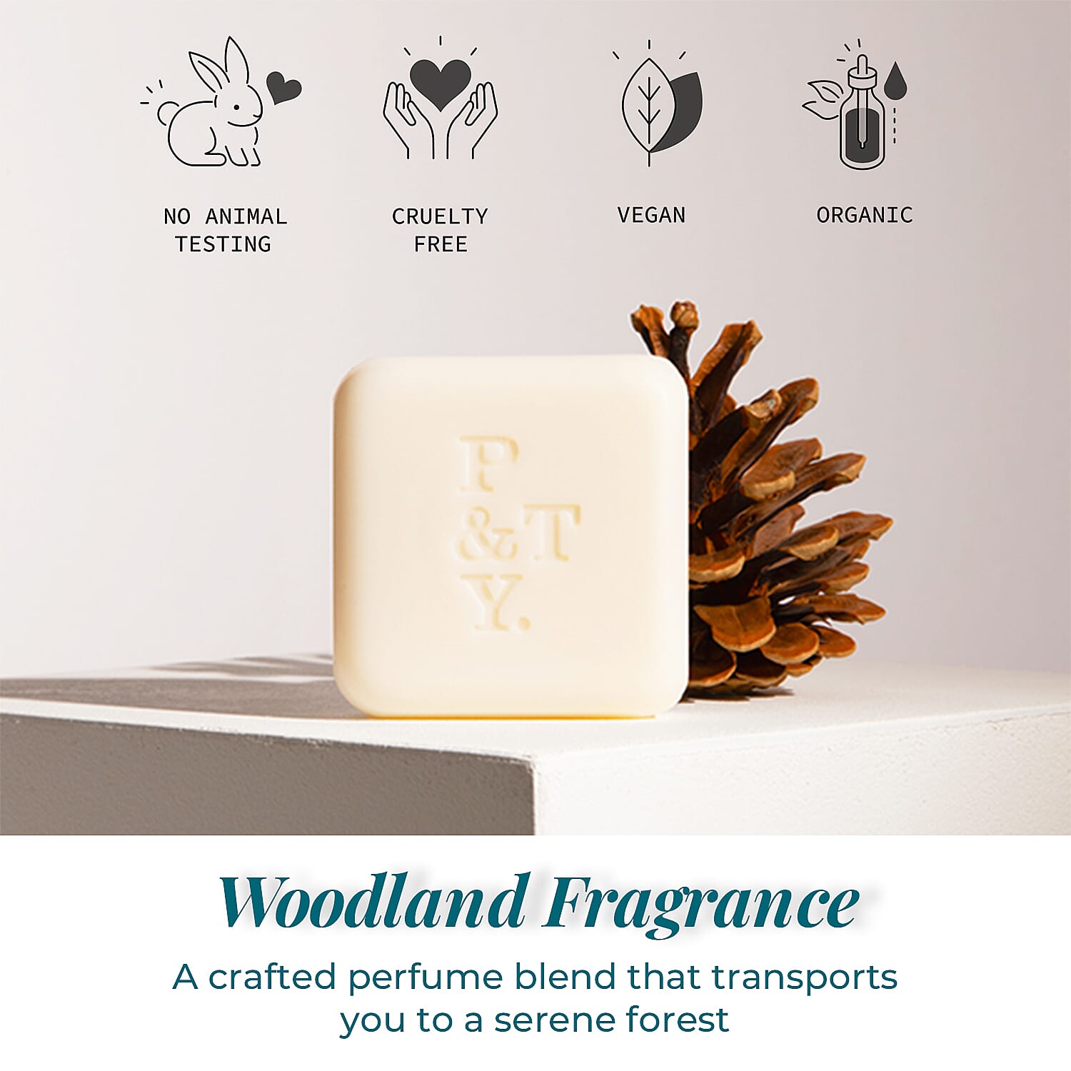 Please & Thank You Pines & Needles Luxury British Soap 100gm