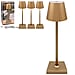 Lesser and Pavey Rechargeable Cordless Touch Lamp - Gold & Light