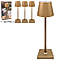 Lesser and Pavey Rechargeable Cordless Touch Lamp - Gold & Silver