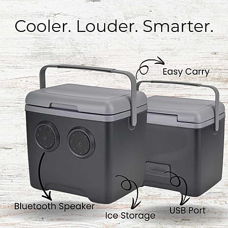 13L Temperature Insulated Box with Bluetooth Speaker Function (1500mAh Battery Inc.) - Grey