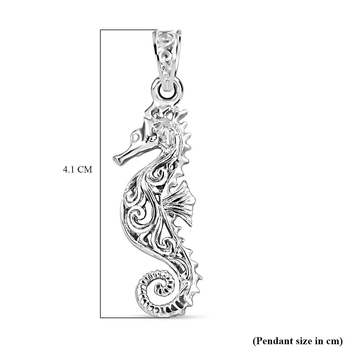 Sterling Silver Pendant