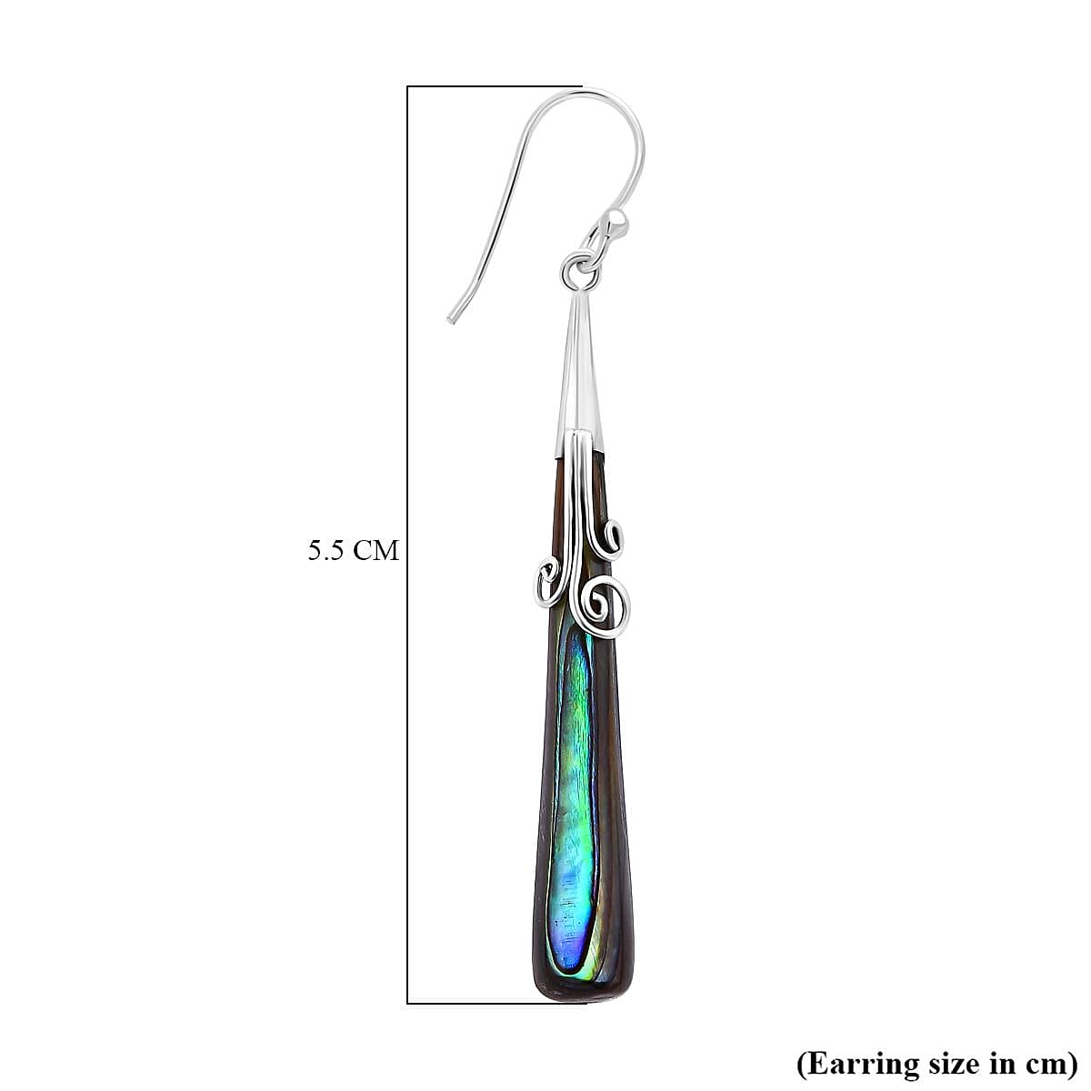 Abalone Shell Hook Earring in Sterling Silver