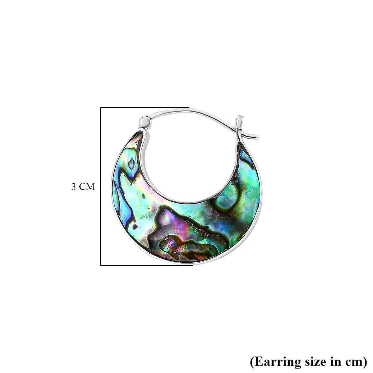 Abalone Shell Earring with Clasp in Sterling Silver Abalone Shell Earring with Clasp in Sterling Silver