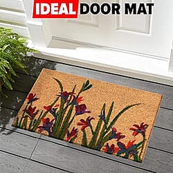 Coir Rug and Door Mat - Red