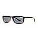 Superdry Polarized Sunglasses
