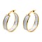 Limited Stock- Sterling Silver Stardust Hoop Earrings - Silver