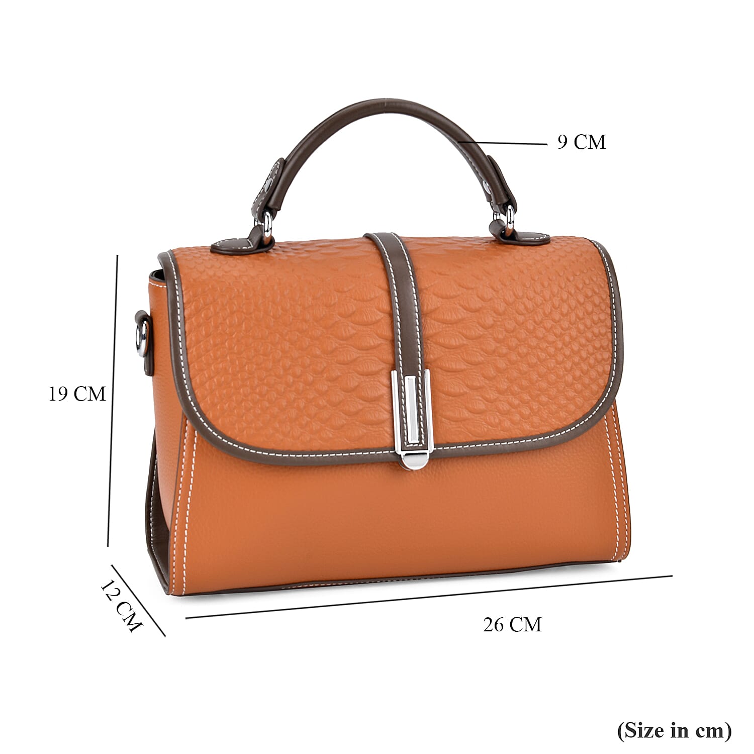 Leather Snakeskin Crossbody Bag