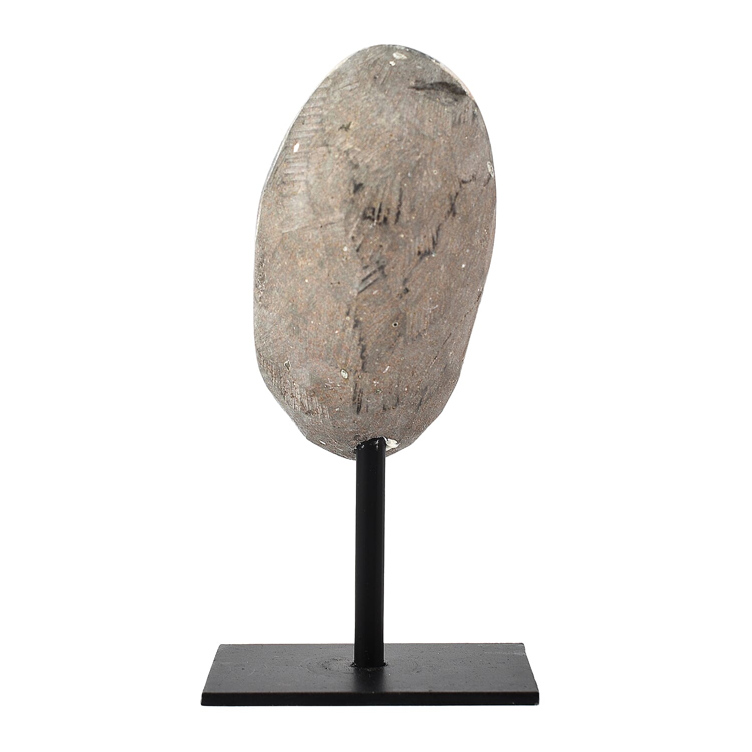 Tucson Find - Rare Size AAA Amethyst Geode